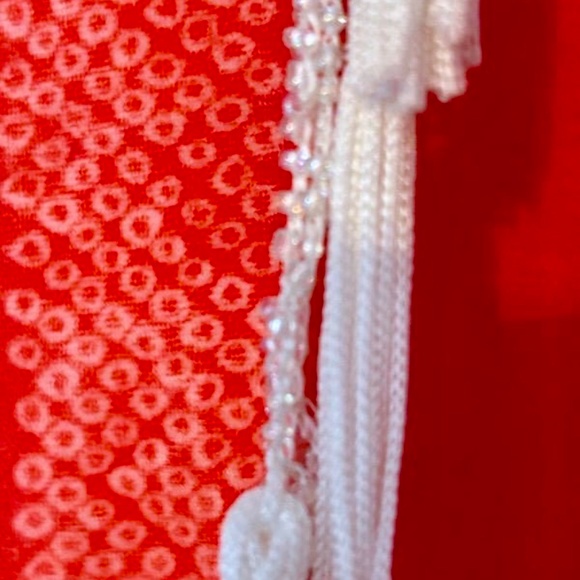 ๐ฒSALE๐ฒ HP Purchased/London Designer James Lakeland 100% Silk Jacket - Picture 10 of 11